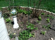 April-May Iphone Pictures 202