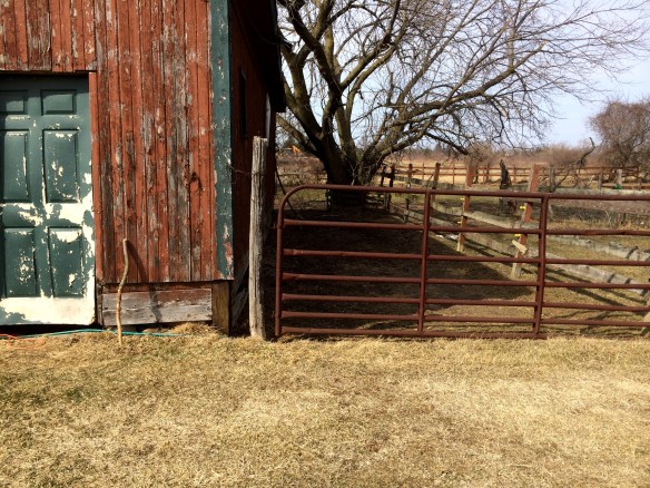 Donations for a survivor 008